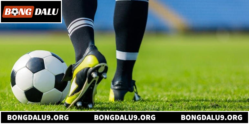 Giải mã sức hút của nền tảng bóng đá net