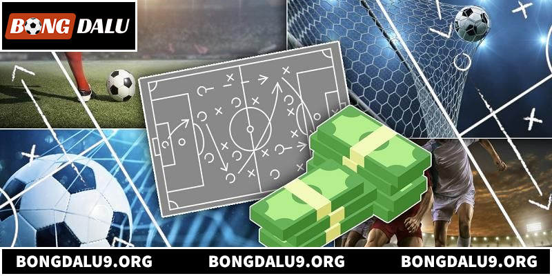 Khám phá hệ thống bảng xếp hạng