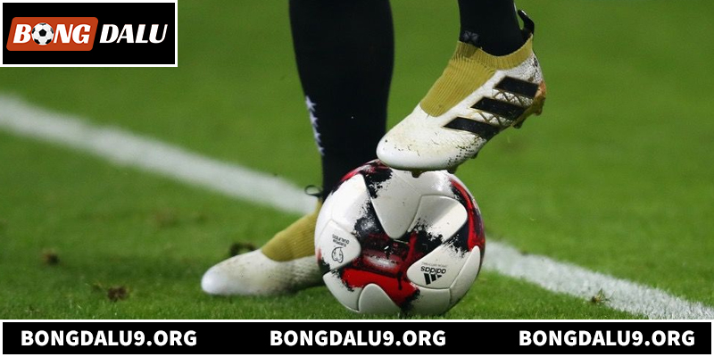 Khám phá kèo chấp nửa trái