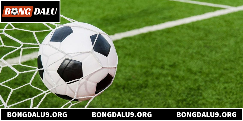 Khám phá toàn bộ về nền tảng 2bong